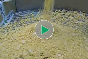 奶油糖果振动分离器