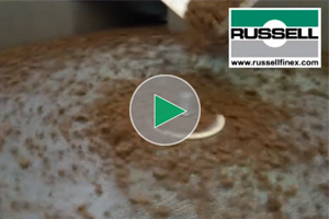 巧克力布朗尼的振动屏