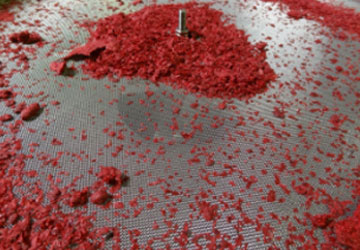 将种子从冷冻果汁中分离出来