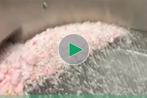 筛选棉花糖来回收糖