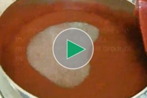 食用色素的筛选